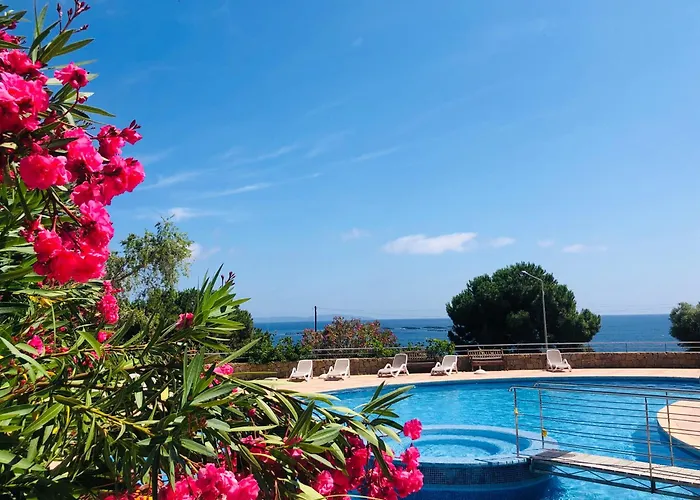 Les Sanguinaires N'7 - T2 Vue Mer, Piscine &